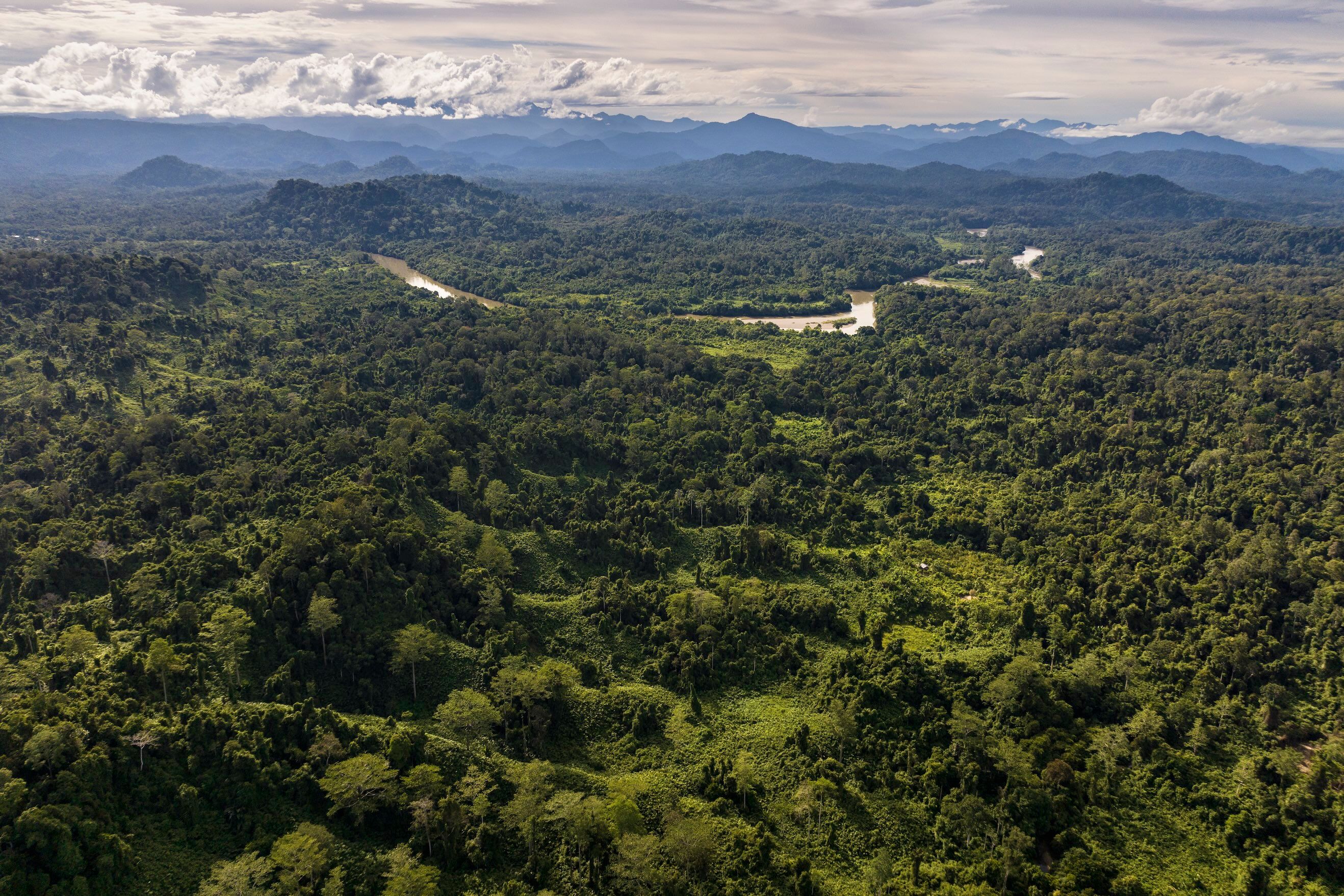 20220718D_20220732_DJI_0019.jpeg